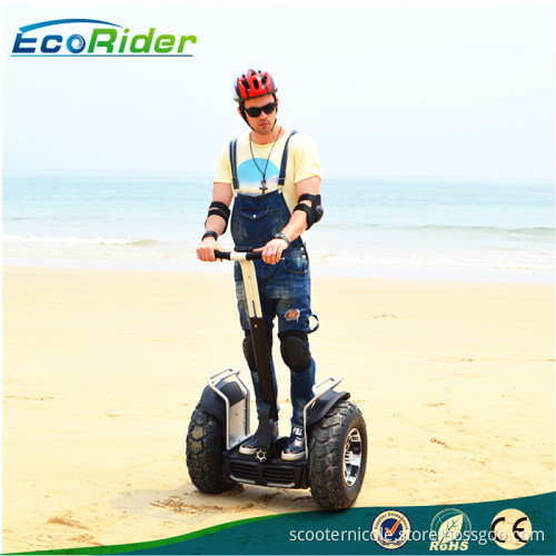 off road eletric scooter balance scooter Segway with App controlled by phone